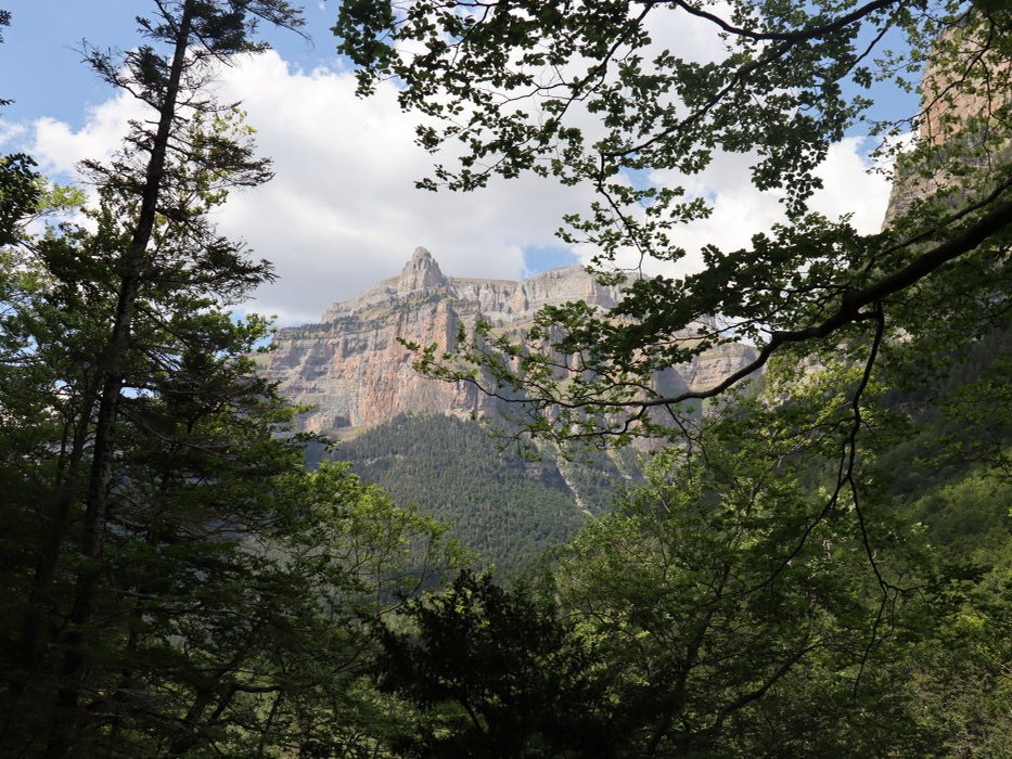 t IMG 5616