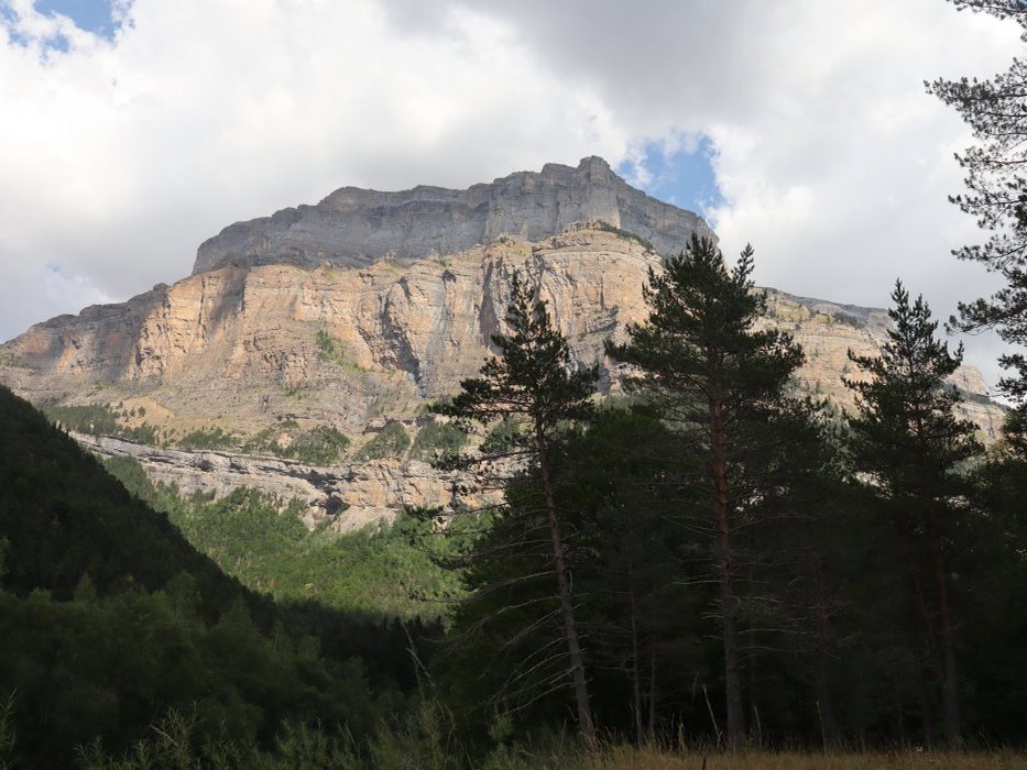 t IMG 5621