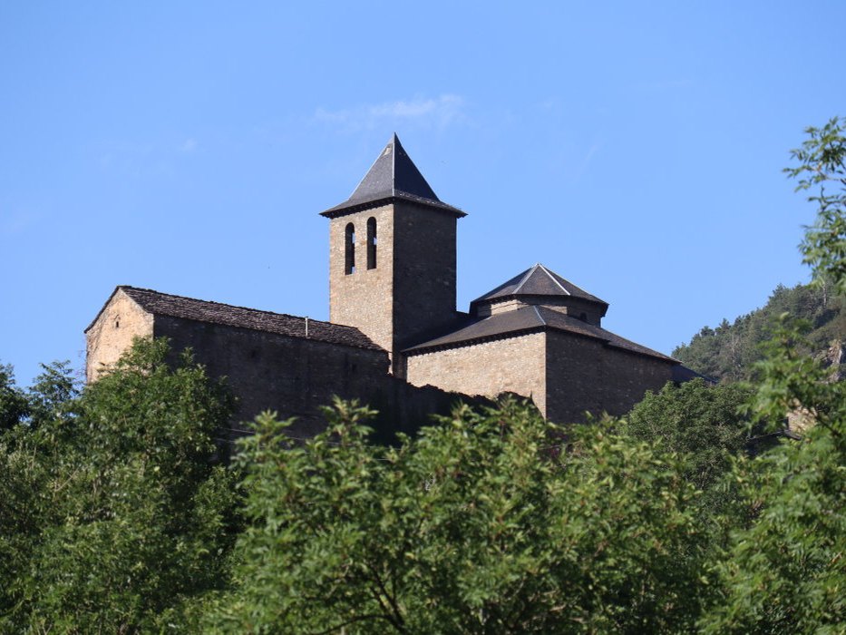 t IMG 5637