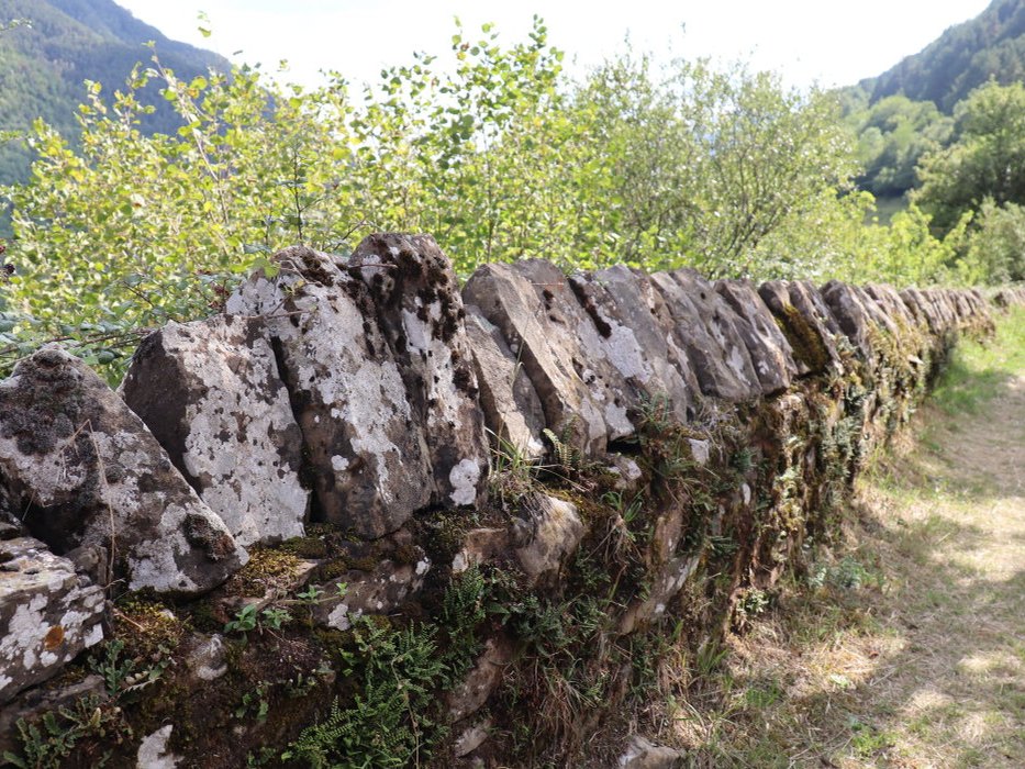 t IMG 5682