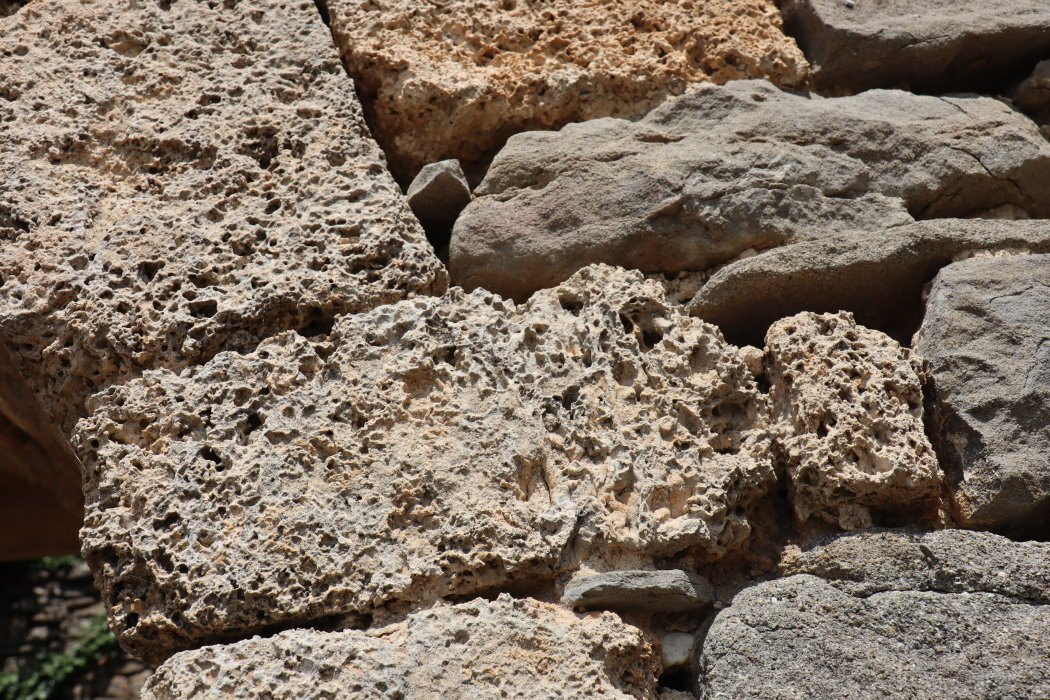 n IMG 5903