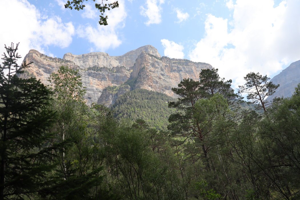 t IMG 5662