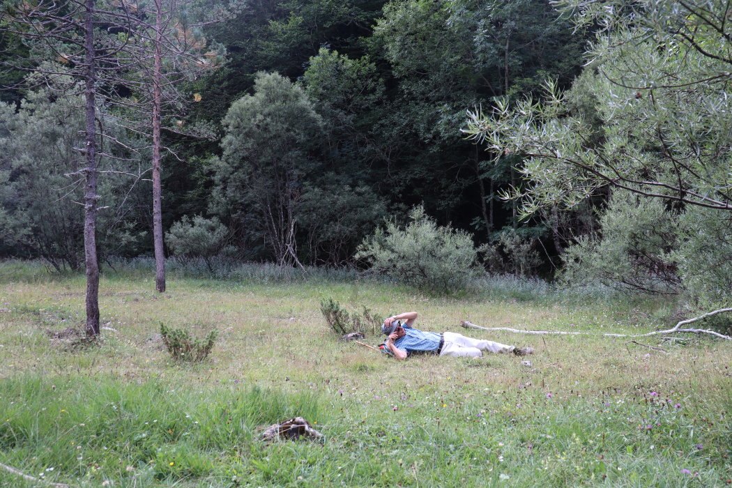 t IMG 5664