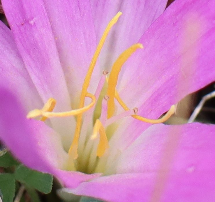 t IMG 5716