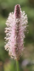 b5 IMG 4469