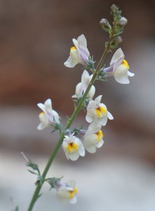 b5 IMG 4479