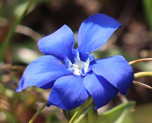 b5 IMG 4539