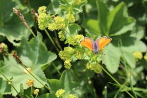 b5 IMG 4581