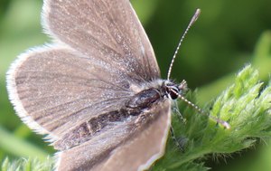 b5 IMG 4592