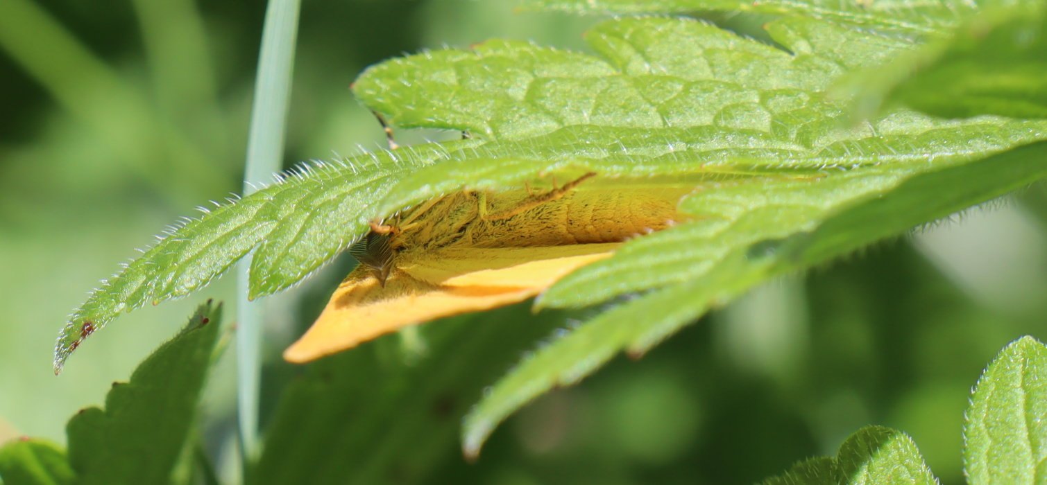 b5 IMG 4603