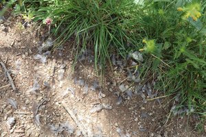 b5 IMG 4763
