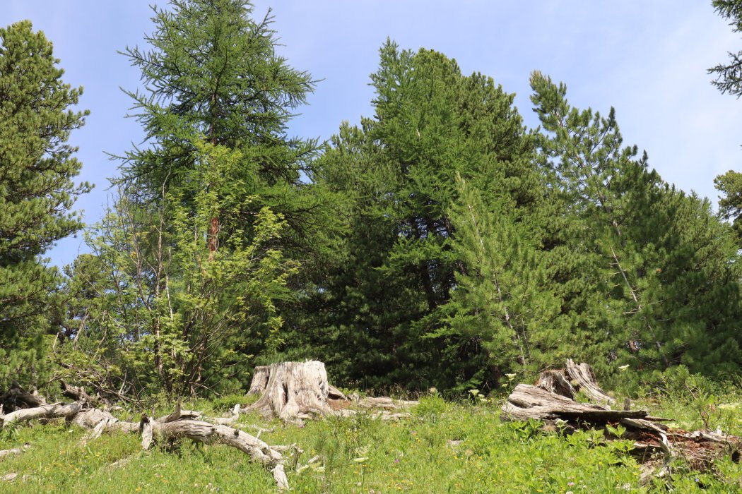 b5 IMG 4801