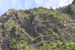 b6 IMG 4818 1