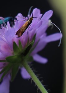 b6 IMG 4838
