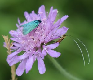 b6 IMG 4840