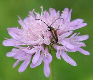 b6 IMG 4845