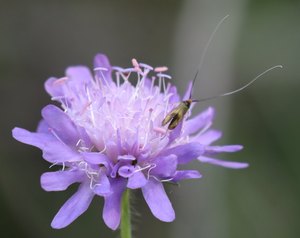 b6 IMG 4848
