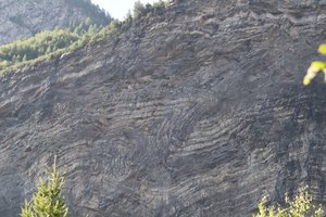 b6 IMG 4860