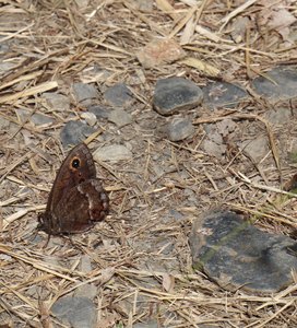 b6 IMG 4955 1