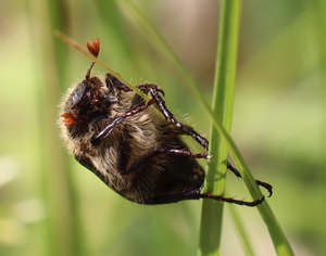 b6 IMG 5023