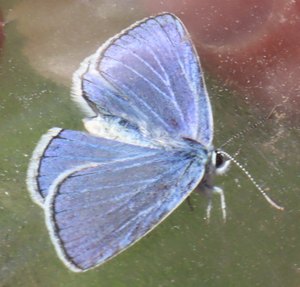 b6 IMG 5056
