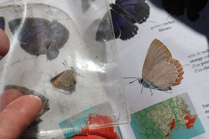 b6 IMG 5092