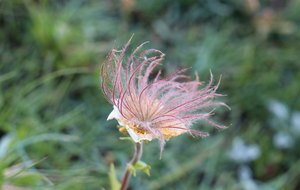 b7 IMG 5265