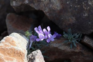 b7 IMG 5279