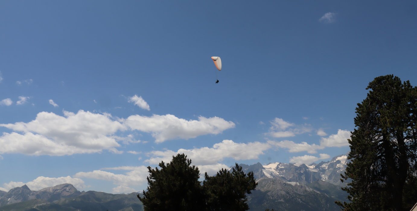 b7 IMG 5334