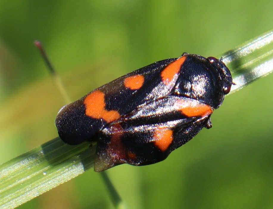 b7 IMG 5342