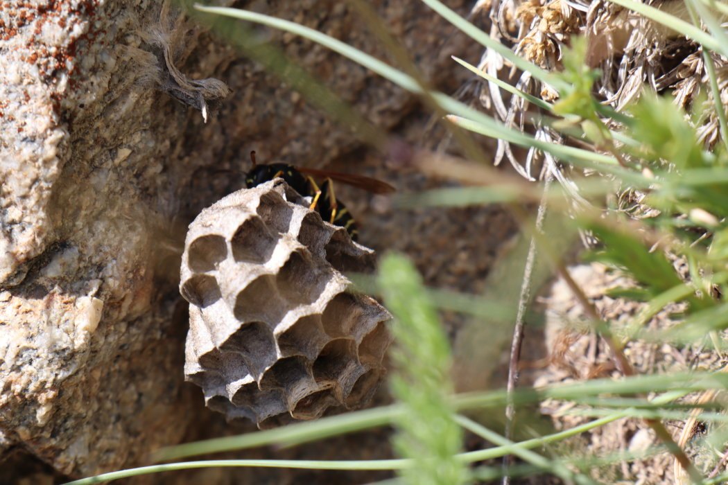 b7 IMG 5362