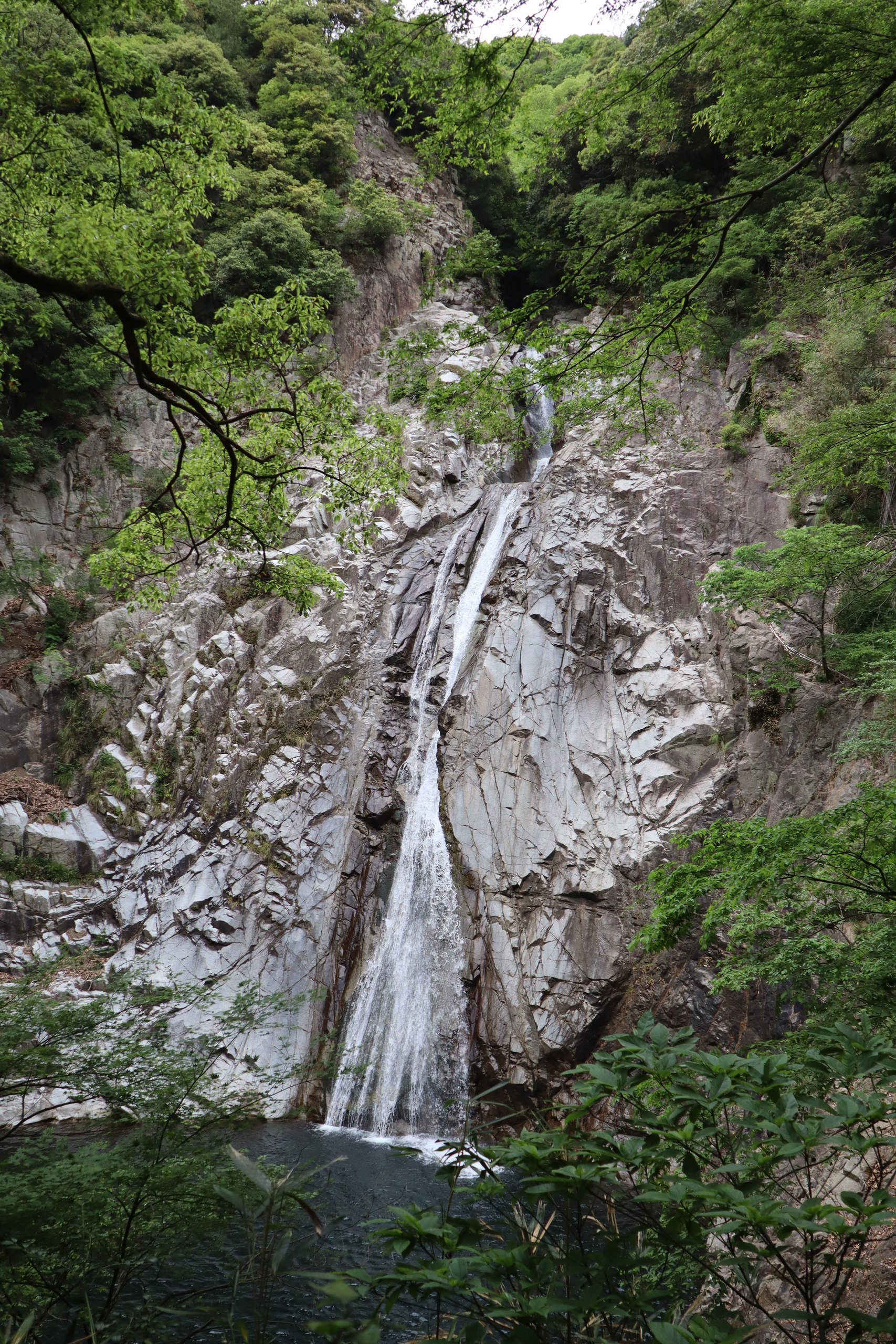 a2IMG 0610 1 rotated e1656571895556