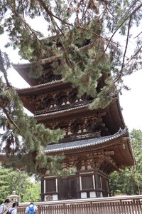 a2IMG 0663 1 rotated e1656571687720