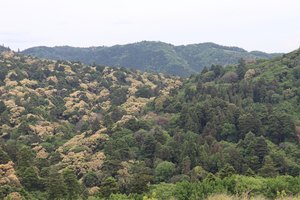 a2IMG 0855