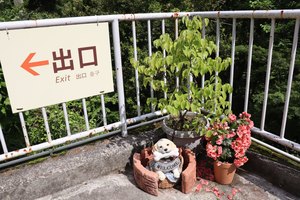 a2IMG 1469