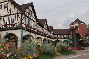 a3IMG 0455