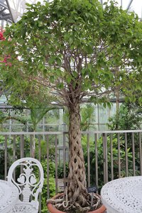 a3IMG 0496 1 rotated e1656532135932