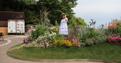 a3IMG 0518 1