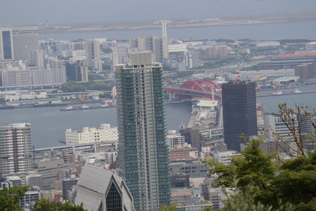 a3IMG 0541
