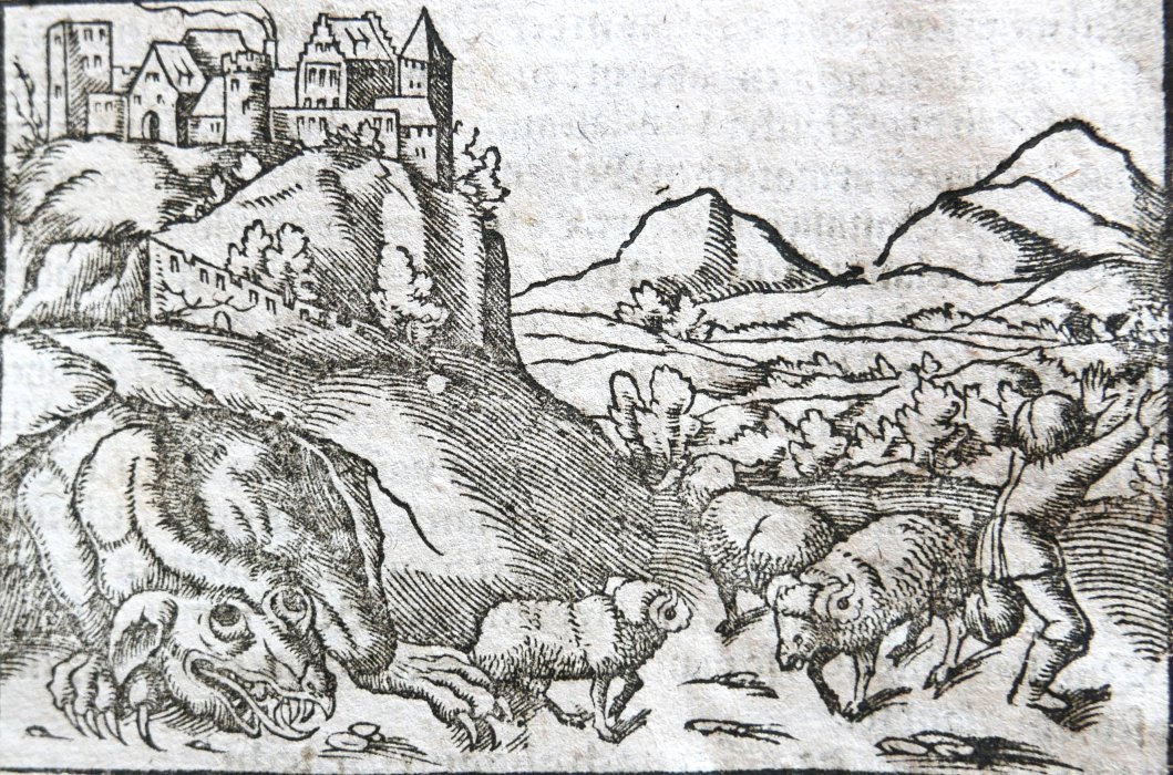 Münster wawelski