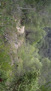 a20200302 120628 rotated e1583674004192