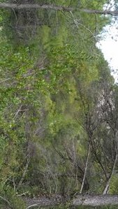 a20200302 120648 rotated e1583674097278
