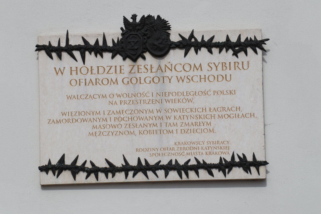 cIMG 6146