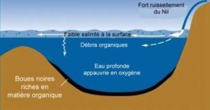 Conditions leading to sapropel formation.png