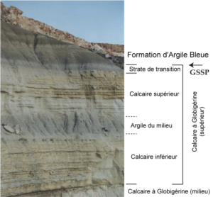 Ras il Pellegrin section Copie