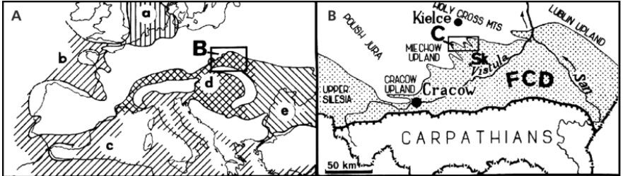 miocene mer 1