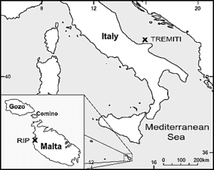 palo1224 fig 0001