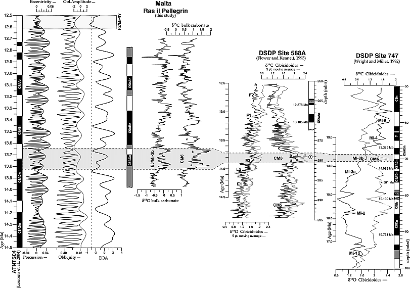 palo1224 fig 0010