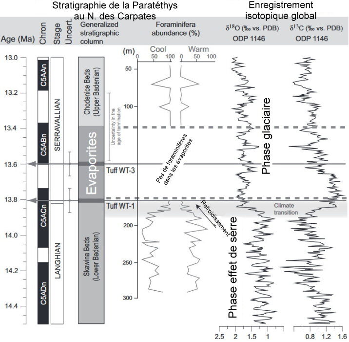 w evaporites 1