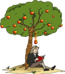 xl newton